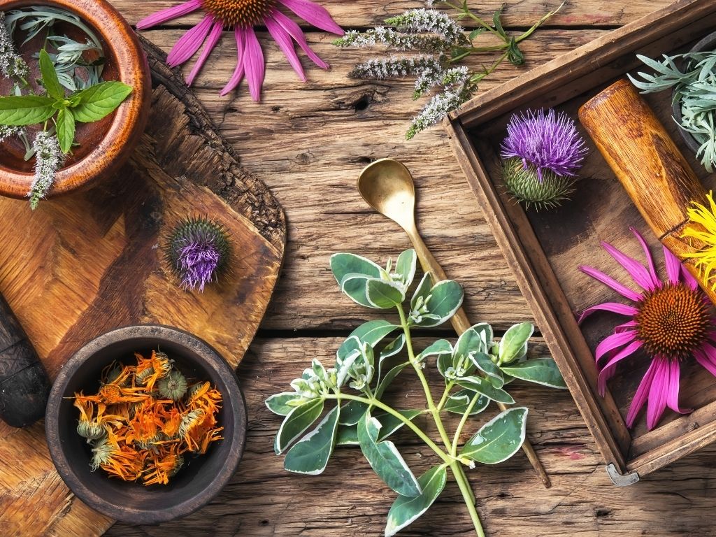 yoni steam herbs for endometriosis